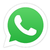 Vuoi contattarci su WhatsApp? Fallo al 333.29.22.308